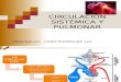 Circulación Sistémica y Pulmonar