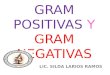 Bacterias Gram Pos y Gram Neg MED I 2013