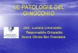 Fisioterapia-Rieducazione-Le Patologie Del Ginocchio