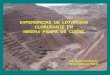 7.Experiencias de Lixiviacion Clorurada en Minera Pampa de Cobre