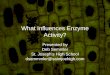 What Influences Enzyme Activity