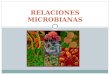 MICROBIOLOGIA AMBIENTAL. Relaciones Microbianas