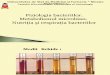 ROM 3. Foziologia Bacteriilor