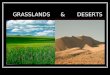 Grasslands & Desert