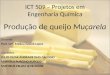 ICT 509 – Projetos Em Engenharia Química 03.07