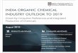 India Organic Chemical Industry Outlook to 2019 - Driven by Consumer Preferences and Integrated Production of Chemicals