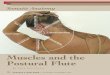 Somatic Anatomy - Muscles and the Postural Flute