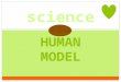 Human model.pptx