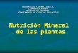 9.- nutricic3b3n-mineral.ppt