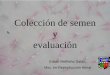 E. Mellisho -Coleccion de semen y evaluacion.pdf