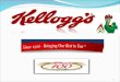 Kelloggs Case Study Management