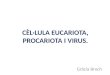 Cèl·Lula Eucariota, Procariota i Virus