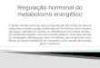 Aula 4- Regulação Hormonal Do Metabolismo Energético-parteI