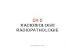 Ch 5 Radiobiologie Radiopathologie