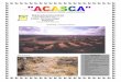 ACASCA 17.pdf