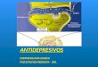 Farmacología Antidepresivos Ansiolíticos Antiepilepticos