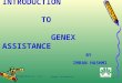 Introduction to Genex Assistance