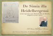 De Simia Illa Heidelbergensi