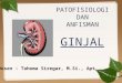 Patofisiologi & Anatomi Fisiologi Manusia "Ginjal"