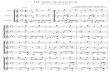 Um Canto da Nossa Terra - Composto por Willer X Siqueira - Para dois violinos, e flauta