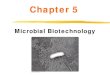 Chapter 5 - Microbial Biotechnology