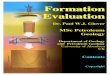 Formation Evaluation by Paul Glover