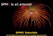 SPM5 is all around! SPM5 Tutorials by the Wellcome Department of Imaging Neuroscience