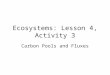 Ecosystems: Lesson 4, Activity 3 Carbon Pools and Fluxes