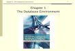 Chapter 1: The Database Environment 1 Chapter 1 The Database Environment