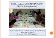 CSO review of GAFSP PrSW: PRAN Bangladesh Regional Workshop on Enhancing Market Power May, 09-11 2013 Quezon City, Philippines