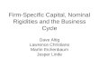 Firm-Specific Capital, Nominal Rigidities and the Business Cycle Dave Altig Lawrence Christiano Martin Eichenbaum Jesper Linde