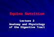 Equine Nutrition Lecture 2 Anatomy and Physiology of the Digestive Tract