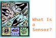 What Is a Sensor?. What Is a Sensor? Pre-Quiz 1. How many sensors or senses do humans have? List them. 2. Describe how any two of the sensors you listed