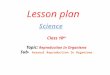 Lesson plan Class 10 th Topic: Reproduction In Organisms Sub- Asexual Reproduction In Organisms