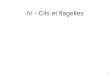 1 IV - Cils et flagelles. 2 Fig 16-76 Mouvement du flagelle et du cil