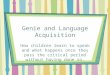Genie and Language Acquisition How children learn to speak and what happens once they pass the critical period without having done so