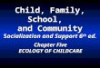 Child, Family, School, and Community Socialization and Support 6 th ed. Chapter Five ECOLOGY OF CHILDCARE