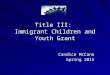 Title III: Immigrant Children and Youth Grant Candice McCann Spring 2015
