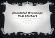 Beautiful Wreckage W.D Ehrhart Presented by: Raymond Herrera