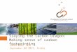 Slaying the Carbon Dragon: Making sense of carbon footprinting Lunch Hour Talk September 08 2011, Intaka