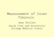 Measurement of liver fibrosis Amar Dhillon Royal Free and University College Medical School