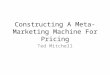 Constructing A Meta-Marketing Machine For Pricing Ted Mitchell