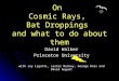 On Cosmic Rays, Bat Droppings and what to do about them David Walker Princeton University with Jay Ligatti, Lester Mackey, George Reis and David August