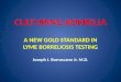 CULTURING BORRELIA A NEW GOLD STANDARD IN LYME BORRELIOSIS TESTING Joseph J. Burrascano Jr. M.D