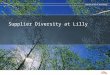 Supplier Diversity Development Supplier Diversity at Lilly