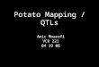 Potato Mapping / QTLs Amir Moarefi VCR 221 04 19 06