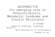 ADIPONECTIN Its emerging role in Atherosclerosis, Metabolic Syndrome and Insulin Resistance RT ERASMUS Chemical Pathology, Tygerberg Hospital, NHLS &University