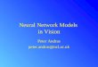 Neural Network Models in Vision Peter Andras peter.andras@ncl.ac.uk