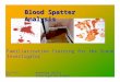 Blood Spatter Analysis Familiarization Training for the Scene Investigator Advanced Skills Investigative Branch 20 February 2008
