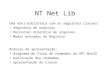 NT Net Lib Roteiro da apresentação: diagrama de fluxo de chamadas da API Win32 explicação das chamadas apresentação da classe Uma mini-biblioteca com as
